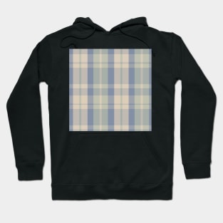 Cottagecore Aesthetic  Aillith 1 Hand Drawn Textured Plaid Pattern Hoodie